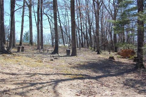 181 Martha Lowe Rd, Lowgap, NC 27024 photo 10