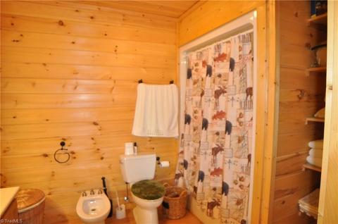 4860 Staghorn Rd, Purlear, NC 28665 photo 10