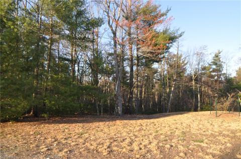 4860 Staghorn Rd, Purlear, NC 28665 photo 24
