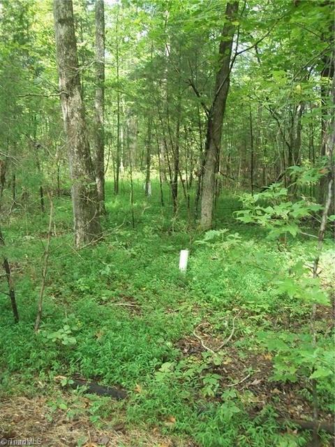 952 Flat Swamp Rd, Denton, NC 27239 photo 11