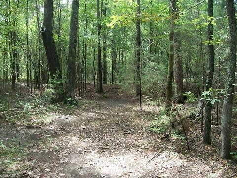 952 Flat Swamp Rd, Denton, NC 27239 photo 5