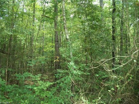 952 Flat Swamp Rd, Denton, NC 27239 photo 6
