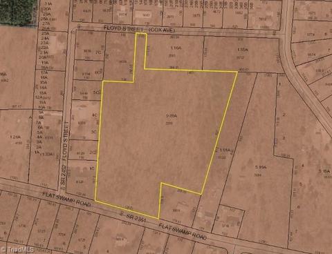 952 Flat Swamp Rd, Denton, NC 27239 photo 2