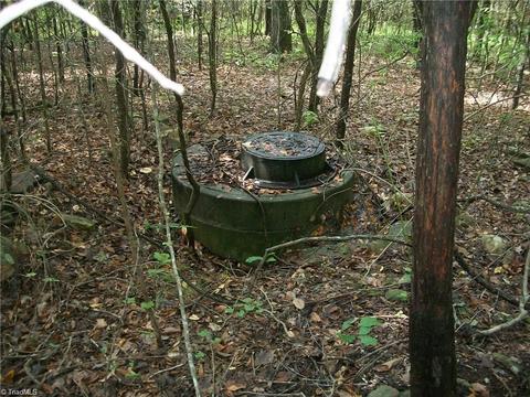952 Flat Swamp Rd, Denton, NC 27239 photo 9