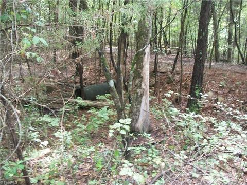 952 Flat Swamp Rd, Denton, NC 27239 photo 7