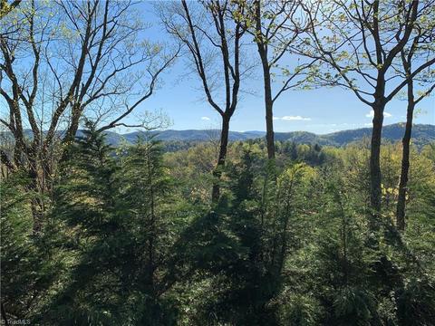 310 Doe Run, Purlear, NC 28665 photo 15