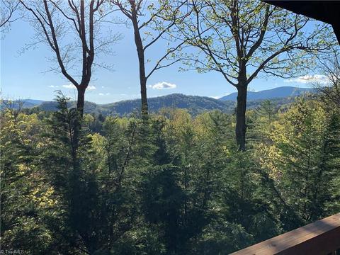 310 Doe Run, Purlear, NC 28665 photo 14