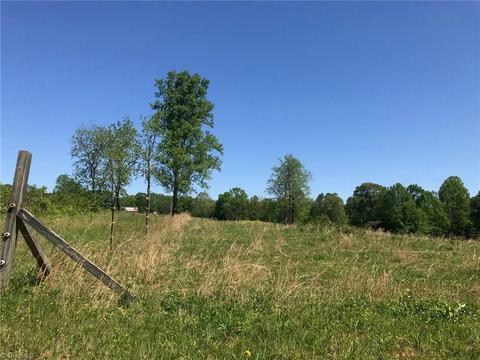 1157 Gravitte Rd, Pilot Mountain, NC 27041 photo 13
