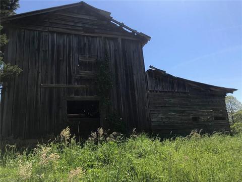 1157 Gravitte Rd, Pilot Mountain, NC 27041 photo 6
