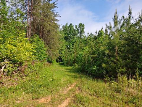 250 Nanable Dr, Madison, NC 27025 photo 6