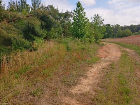 250 Nanable Dr, Madison, NC 27025 photo 7