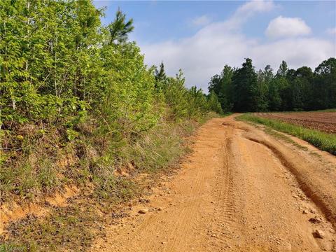 250 Nanable Dr, Madison, NC 27025 photo 8