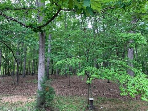 3155 Hoover Hill Rd, Trinity, NC 27370 photo 24