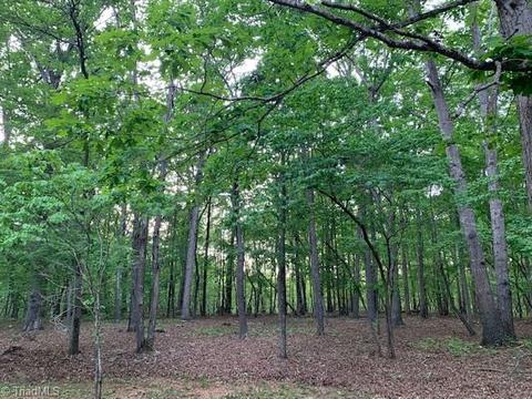 3155 Hoover Hill Rd, Trinity, NC 27370 photo 25