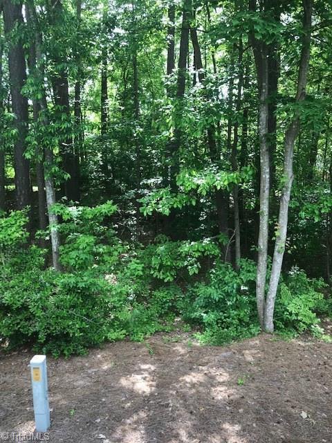 1720 Ternberry Rd, High Point, NC 27262 photo 20