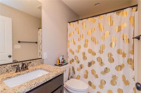 7234 English Pride Dr, Trinity, NC 27370 photo 21