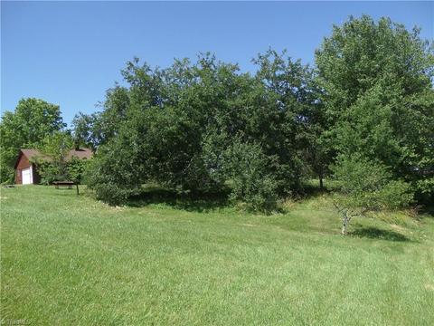 134 Jays Meadow Ln, Purlear, NC 28665 photo 9