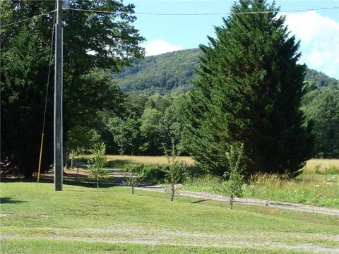 111 Honey Tree Ln, Traphill, NC 28685 photo 3