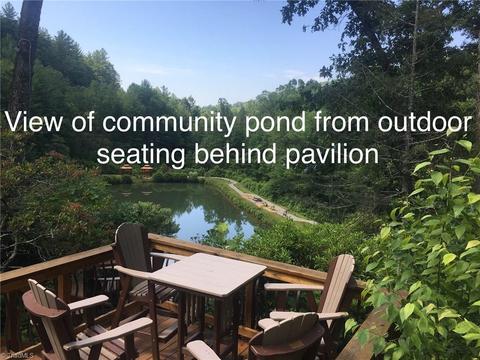 255 Valley View Dr, Purlear, NC 28665 photo 28