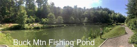 255 Valley View Dr, Purlear, NC 28665 photo 29