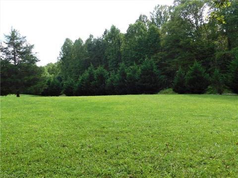 168 Acres E Ridge Pl # -9, Pilot Mountain, NC 27041 photo 20