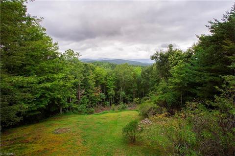 331 Doe Run, Purlear, NC 28665 photo 18