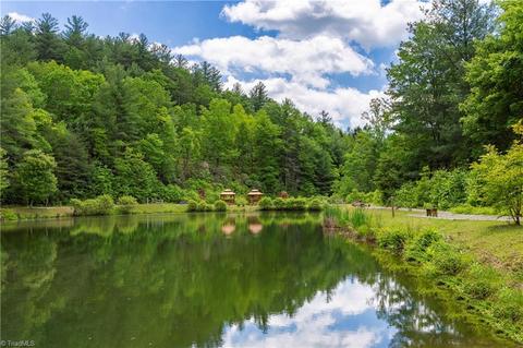 331 Doe Run, Purlear, NC 28665 photo 22
