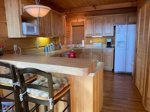 2103 Buck Mountain Rd, Purlear, NC 28665 photo 8