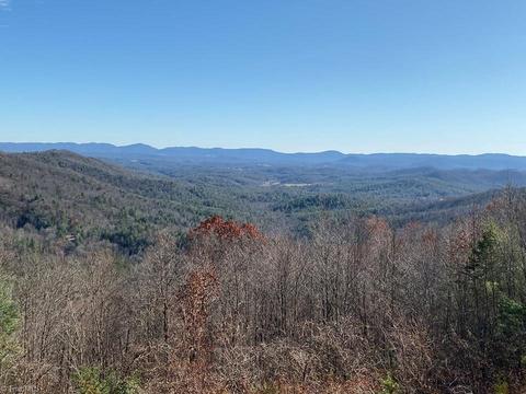 2103 Buck Mountain Rd, Purlear, NC 28665 photo 21
