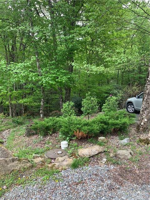 102 Lakeledge Rd, Beech Mountain, NC 28604 photo 6