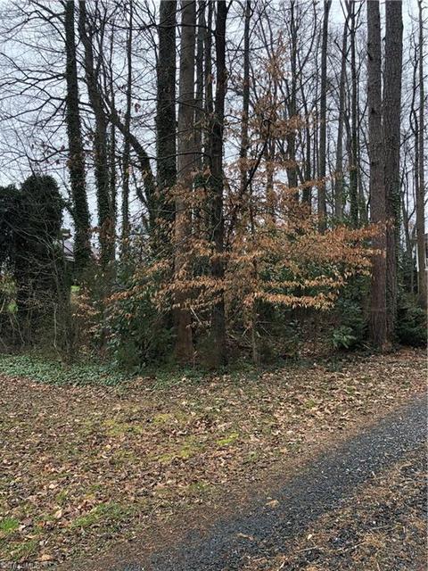 210 E Brown St, Randleman, NC 27317 photo 17