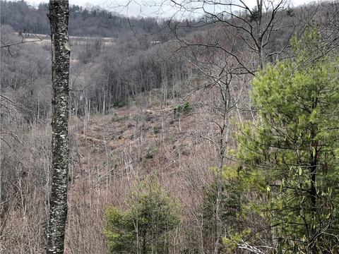 000 Pauls Creek Rd, Cana, VA 24317