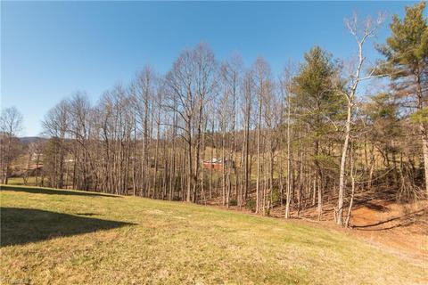 2236 Old Highway 60, Purlear, NC 28665 photo 30