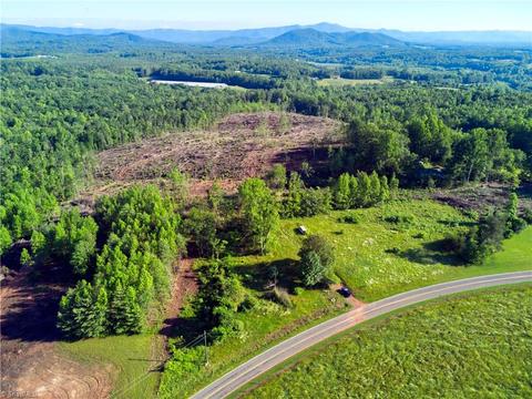 174 Reely Cook Rd, Dobson, NC 27017 photo 3