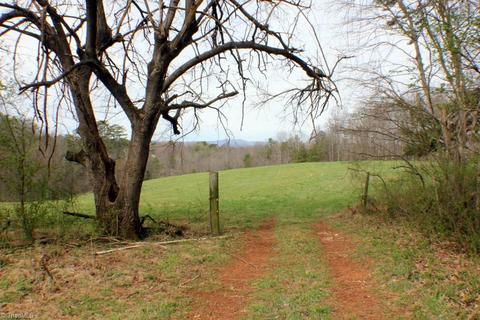 711 N Main St, Dobson, NC 27017 photo 28