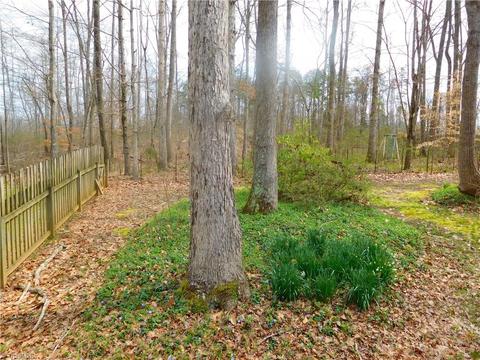 5273 Bridge Pointe Dr, Clemmons, NC 27012 photo 29