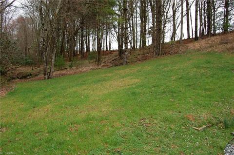 1698 Dewitt Rd, Sparta, NC 28675 photo 5
