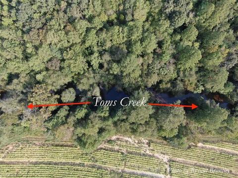 114 Lightning Ln, Pilot Mountain, NC 27041 photo 10