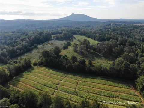 114 Lightning Ln, Pilot Mountain, NC 27041 photo 2
