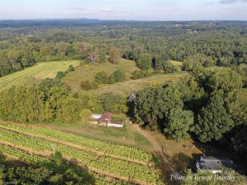 114 Lightning Ln, Pilot Mountain, NC 27041 photo 17