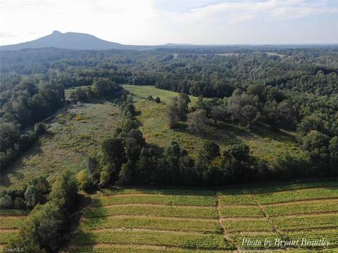 114 Lightning Ln, Pilot Mountain, NC 27041 photo 16