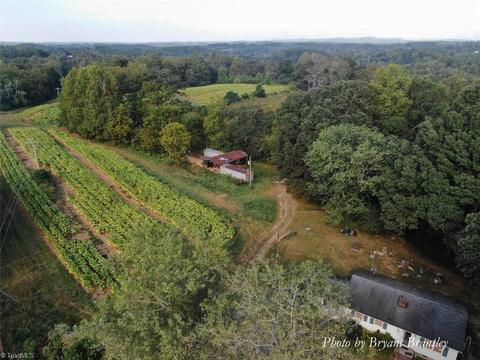 114 Lightning Ln, Pilot Mountain, NC 27041 photo 3