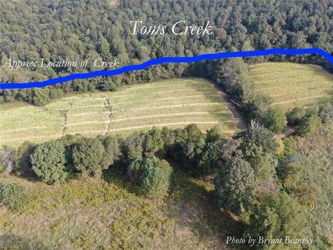 114 Lightning Ln, Pilot Mountain, NC 27041 photo 9