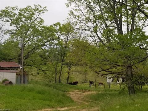114 Lightning Ln, Pilot Mountain, NC 27041 photo 20
