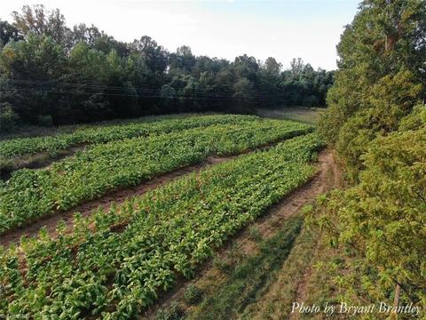 114 Lightning Ln, Pilot Mountain, NC 27041 photo 13