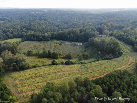 114 Lightning Ln, Pilot Mountain, NC 27041 photo 14