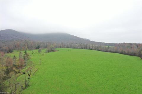 12617 Traphill Rd, Traphill, NC 28685 photo 4