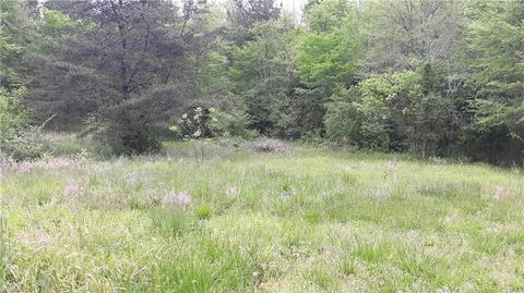 676 Flat Swamp Rd, Denton, NC 27239 photo 5