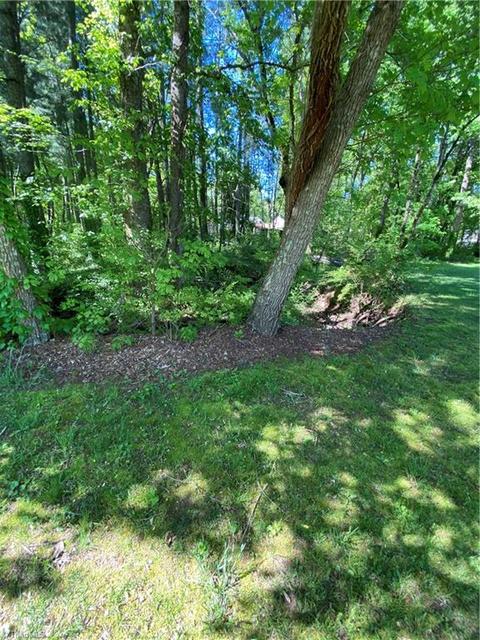 103 Brown Rd, King, NC 27021 photo 3