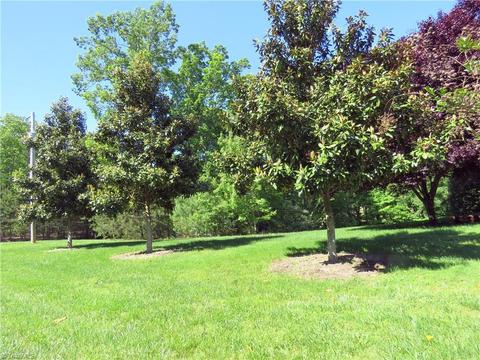 449 Knollcrest Dr, Pinnacle, NC 27043 photo 25